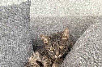 Photo du défi
