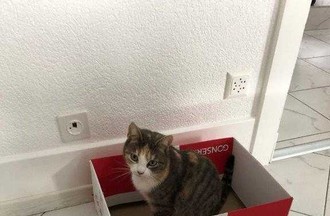 Photo du défi