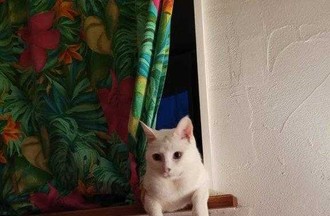Photo du défi