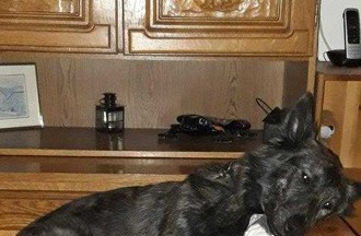 Photo du défi