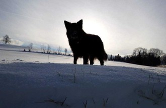 Photo du défi