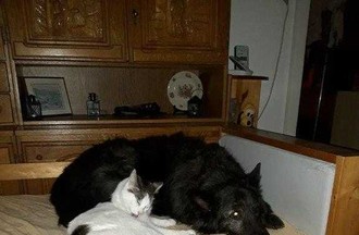 Photo du défi