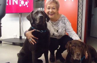  Ragnar & Léo de race Labrador