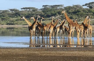 Photo du défi Afrique