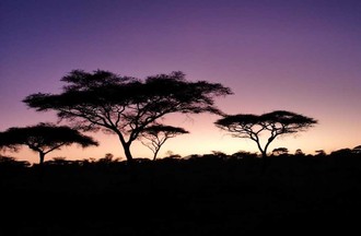 Photo du défi Afrique