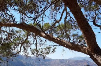 Photo du défi Kárpathos Grèce