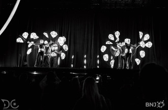 Spectacle son et lumières