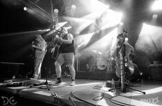 Steve 'n' Seagulls