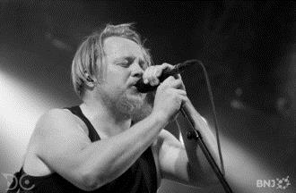 Steve 'n' Seagulls