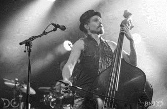 Steve 'n' Seagulls