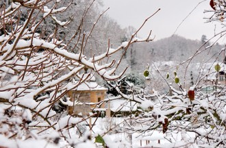 Jardin botanique