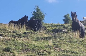 Photo du défi 