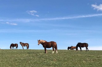 Photo du défi 