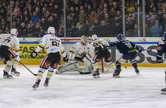 Ajoie, HCC, Hockey