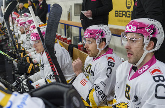 Ajoie, HCC, Hockey