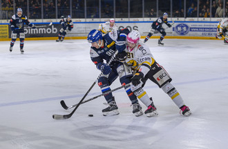 Ajoie, HCC, Hockey