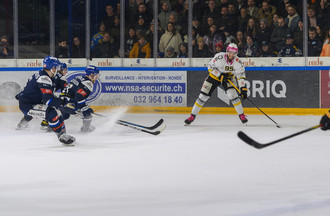 Ajoie, HCC, Hockey