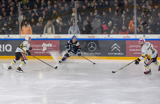 Ajoie, HCC, Hockey