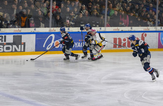 Ajoie, HCC, Hockey