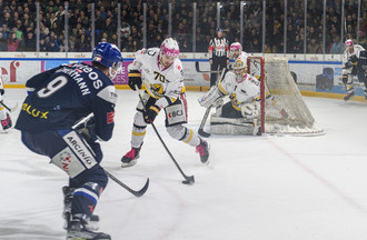 Ajoie, HCC, Hockey