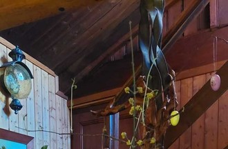Photo du défi