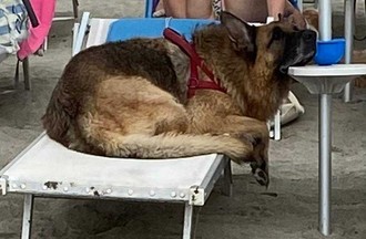 Photo du défi