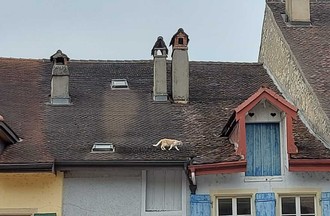 Photo du défi