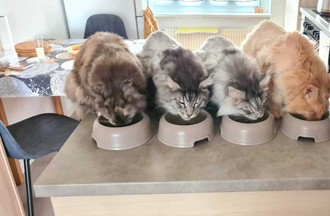 Photo du défi