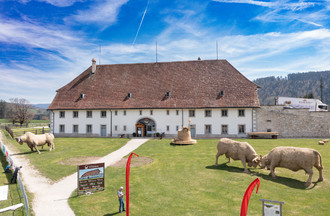 Description de l'image