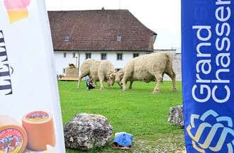 Description de l'image