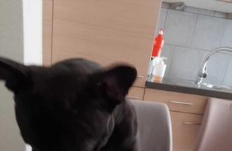 Photo du défi