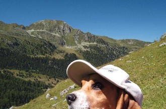 La photo gagnante du défi, choisie par Benjamin et Mireille
