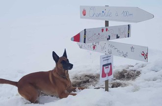 Photo du défi