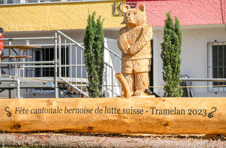 Description de l'image