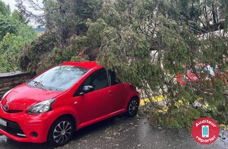 Voiture sous un arbre à La Chaux-de-Fonds