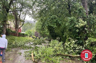 Des branches sur la chaussée à La Chaux-de-Fonds
