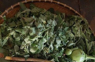 Légumes, photo de Jean-Baptiste