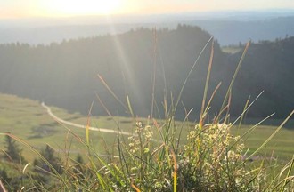 Photo du défi