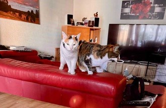 Photo du défi 