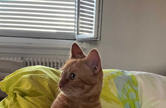 Photo du défi