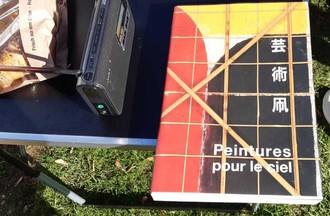 Le livre de Bernadette sur la peinture et les cerfs-vlolants