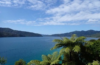 Les magnifiques photos de Marie