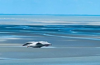 La photo gagnante du défi choisie par Didier
