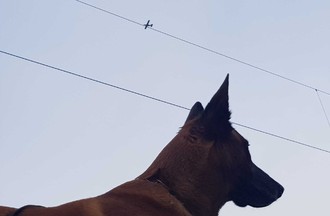 Photo du défi