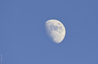 Photo de Bertrand