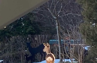 Photo du défi