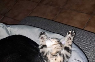 Photo du défi
