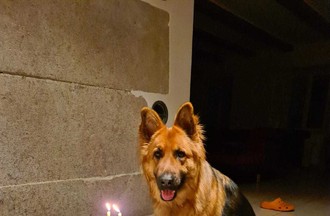 Photo du défi