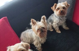 Photo du défi