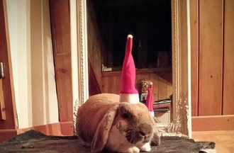 La photo gagnante du défi choisie par Diane